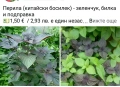 🪻🪴🪷🎁5 вида градински цветя❄️☃️ -, снимка 5