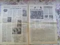 Вестник Музикален живот 8 май 1981 г. , снимка 2