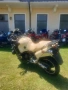 HONDA VARADERO 1100, снимка 11