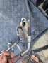 климатични тръби vw golf 5 1.6 , снимка 3