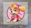  Скай skye от Пес патрул Paw patrol термо щампа апликация картинка за дреха лепенка, снимка 2