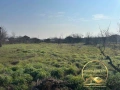 Къща село Лозен ,община Любимец, снимка 5