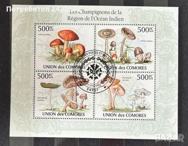 2585. Коморски острови 2009 /10 - “ Флора. Гъби от района на Индийския океан. “, CTO