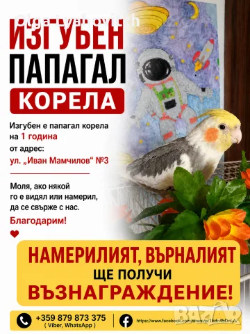 Изгубен папагалче