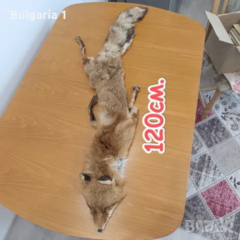 кожа от лисица/лисиче кожа 120см
