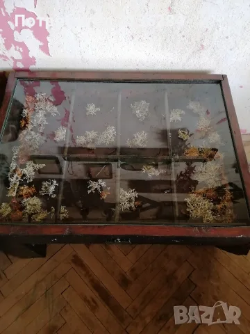 Холна маса с декорация