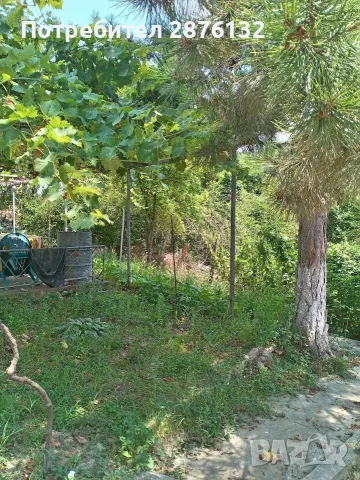 Едноетажна къща в град Опака, снимка 14 - Къщи - 55352739
