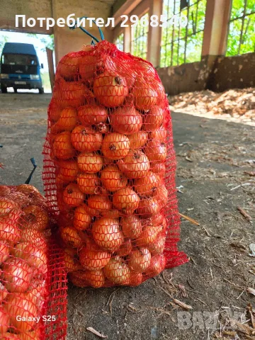Продавам български лук 