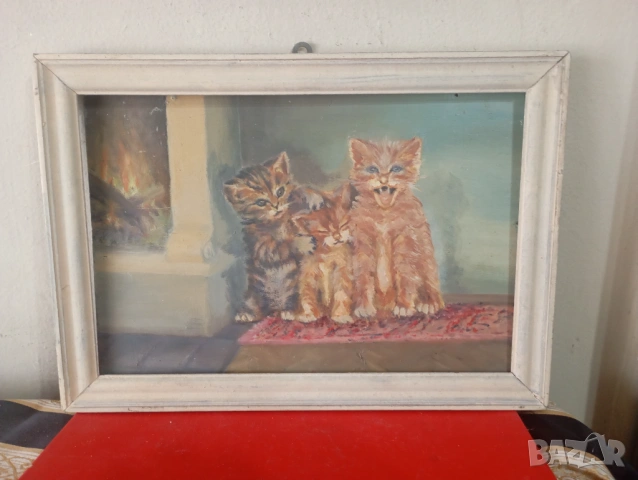 Картина- котета