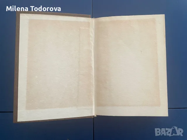 “Апостолът на свободата” Мерсия Макдермот, снимка 4 - История, политика и общество - 55323771