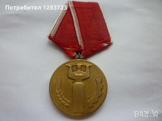 Медал Орден, снимка 2 - Антикварни и старинни предмети - 54514598