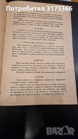 Антикварна книга първо издание 1930 Вегетарианска кухня Мария Димкова перфектна 100 годишна книга, снимка 10 - Кулинария - 55408870