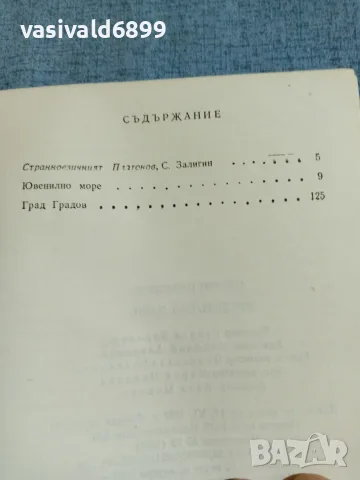 Андрей Платонов - Ювенилно море , снимка 5 - Художествена литература - 55373452
