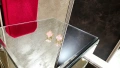 Van Cleef & Arpels VCA Gold Pink Opal Vintage Alhambra Clips Дамски Обеци, снимка 3