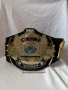 Шампионски пояс WWE Winged Eagle Championship WWF световната титла в кеча Mattel детски belt колан, снимка 1