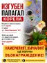 Изгубен папагалче, снимка 1