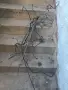 Спирачни тръби топ БМВ525 Е-39 2.5тд 163к.ц.М-пакет 2003 Тоурар автоматик фейслифт, снимка 1