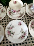 Royal Albert lavander rose 🌹, снимка 2