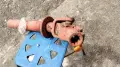 Кардан за трактор, снимка 2
