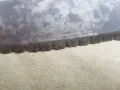 Овчарски нож с трион, снимка 3