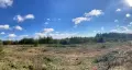Почистване на терени с горски мулчер и трактор, снимка 10