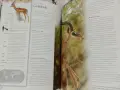Невероятната дива природа, книга, издание на ВВС, снимка 5