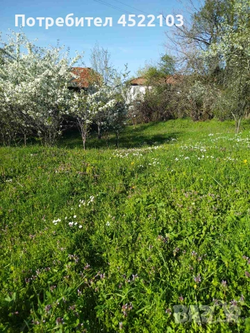 Продавам къща с голям двор, снимка 6 - Къщи - 54974195