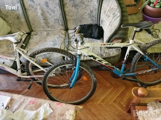 колело велосипед KCP Wildcat с бяла и синя рамка. планинско 