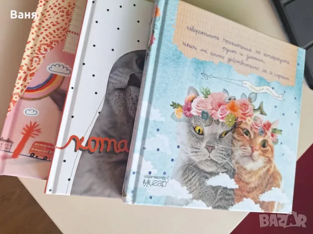 Невероятните приключения на котараците Румен и Златин, снимка 2 - Други - 55333934