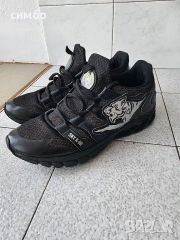 Plein Sport Tiger attack