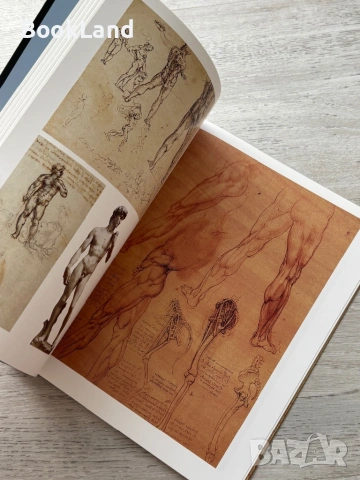 Леонардо| Taschen албум, снимка 8 - Други - 54778564