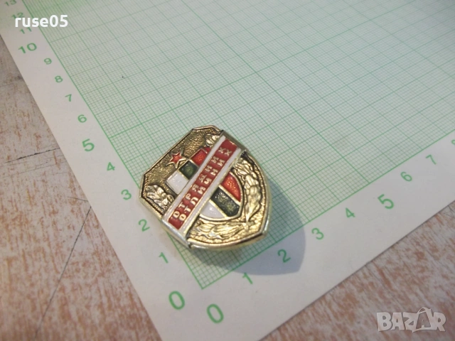 Значка "Отрядник отличник", снимка 3 - Колекции - 54246520