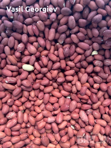 продавам фъстъци, снимка 2 - Домашни продукти - 55215437