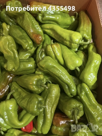 Домашен селски пипер цена от 3-5€кг