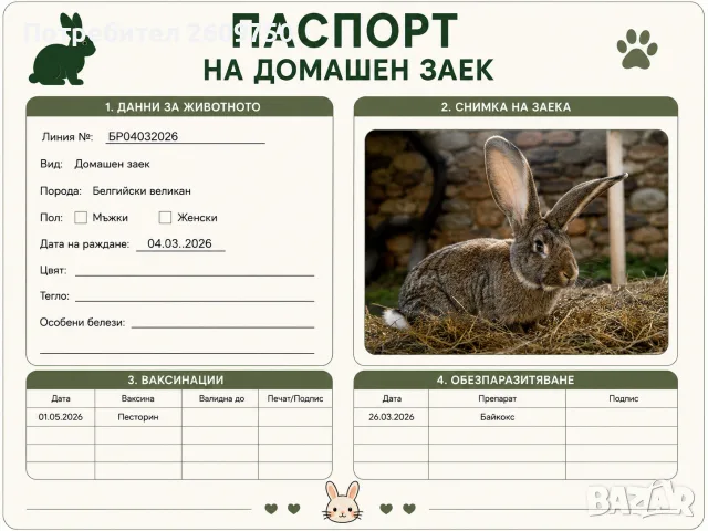 Белгийски Великан , снимка 2 - Други - 55567422