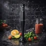 Ръчен пасатор Rosberg R51112O, 350W, 2 скорости, пластмасова пасираща приставка, снимка 2