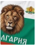 Детски тениски 🇧🇬🇧🇬 БЪЛГАРИЯ , снимка 3