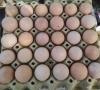 Продавам яйца от неми патици и от кокошки супер харко , снимка 2