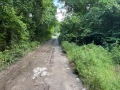 Вила с лозе в американските лозя- гр.Разград, снимка 11