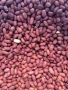 продавам фъстъци, снимка 2