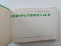 Диворастящи гъби, снимка 8