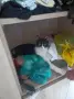 Подарявам котка, снимка 1