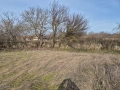 Продавам къща в село Черковна община Провадия област Варна , снимка 7