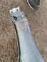 Преден десен калник VW Passat 5.5, снимка 6