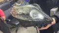 Фар десен Lexus RX 450h , снимка 6