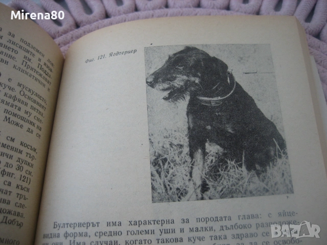 За младия ловец и риболовец, снимка 5 - Специализирана литература - 55188783