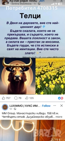 Голдън ретривър момченце бонбонче, снимка 11 - Голдън ретривър - 54454483