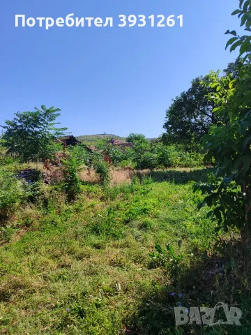 Къща в село Чирен на 18 км от Враца , снимка 9 - Къщи - 55702753