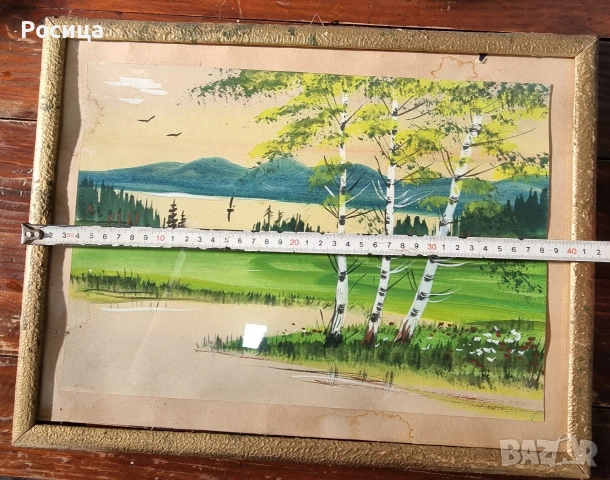 пейзаж с брези , снимка 2 - Картини - 54003515