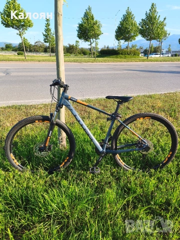 Cross Fusion 29